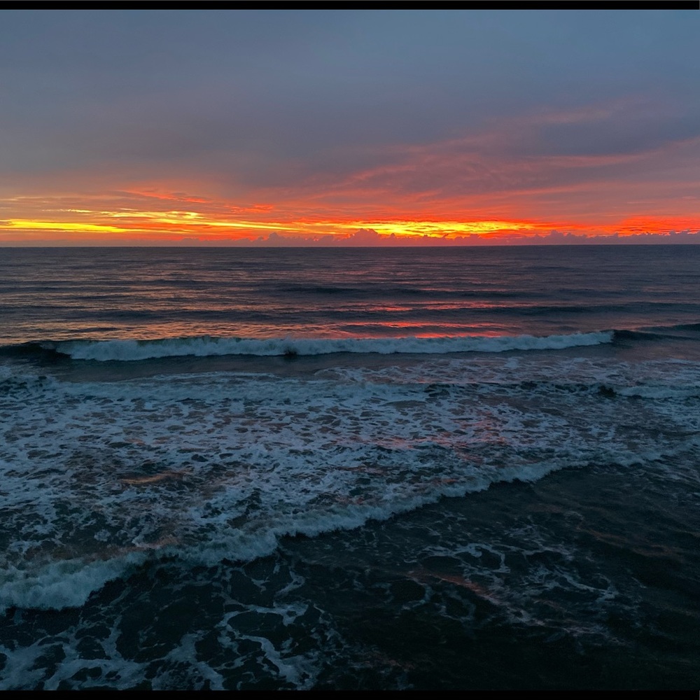 Meet your Posher, Carly